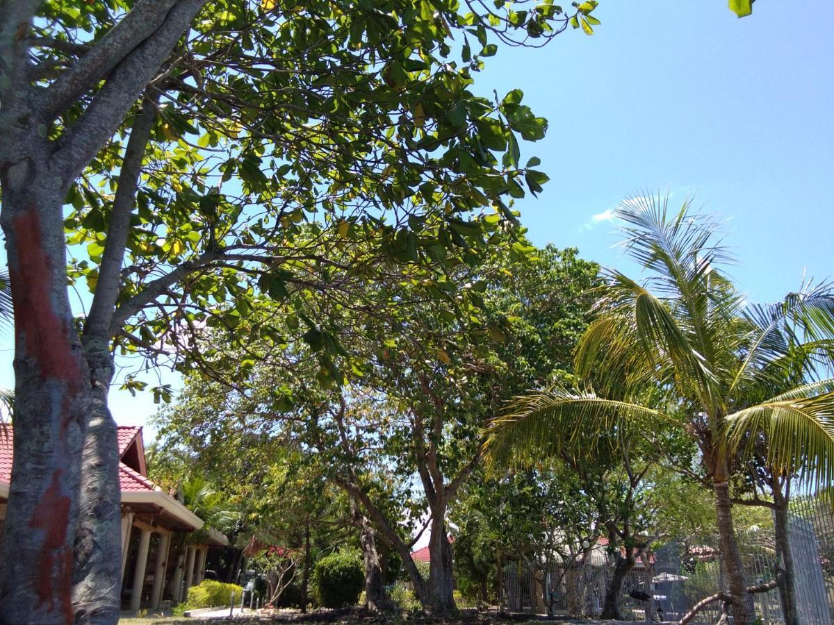 Bed and Breakfast Ancelle Cristo Re Moalboal Esterno foto